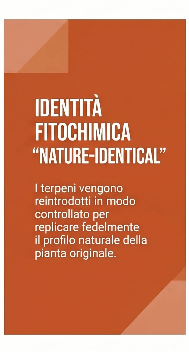 identita